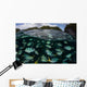 School Large Damselfish Palau's Wall Decal
