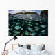 School Large Damselfish Palau's Wall Decal
