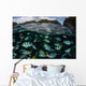 School Large Damselfish Palau's Wall Decal