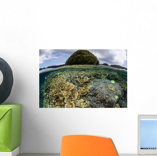 Reef-building Corals Grow inside Wall Decal