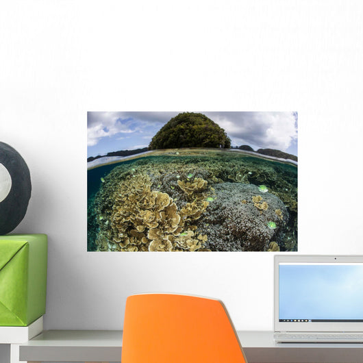 Reef-building Corals Grow inside Wall Decal