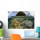 Reef-building Corals Grow inside Wall Decal
