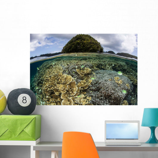 Reef-building Corals Grow inside Wall Decal