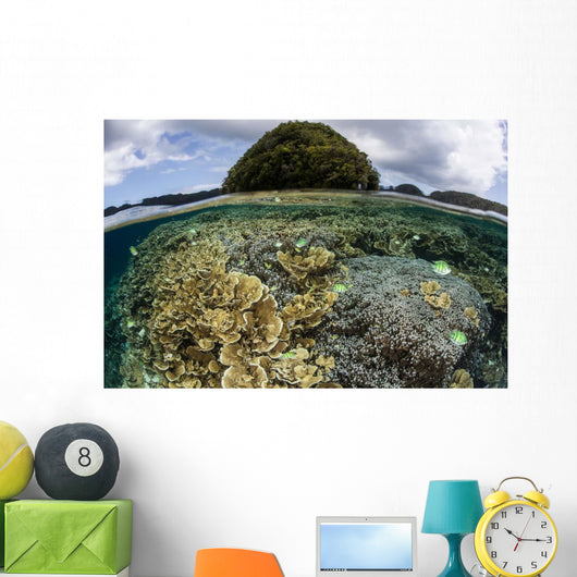 Reef-building Corals Grow inside Wall Decal