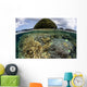Reef-building Corals Grow inside Wall Decal