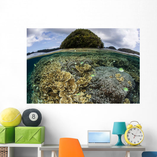 Reef-building Corals Grow inside Wall Decal