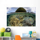 Reef-building Corals Grow inside Wall Decal