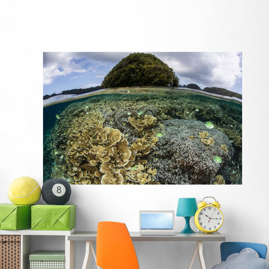 Reef-building Corals Grow inside Wall Decal