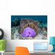 Magnificent Sea Anemone Grows Wall Decal