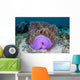 Magnificent Sea Anemone Grows Wall Decal