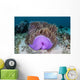 Magnificent Sea Anemone Grows Wall Decal