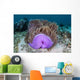 Magnificent Sea Anemone Grows Wall Decal