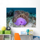 Magnificent Sea Anemone Grows Wall Decal