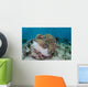 Magnificent Sea Anemone Hosts Wall Decal