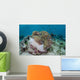 Magnificent Sea Anemone Hosts Wall Decal