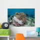 Magnificent Sea Anemone Hosts Wall Decal