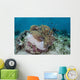 Magnificent Sea Anemone Hosts Wall Decal