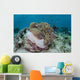 Magnificent Sea Anemone Hosts Wall Decal
