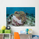 Magnificent Sea Anemone Hosts Wall Decal