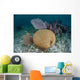 Brain Coral and Gorgonians Wall Decal Design 2