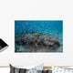 Damselfish Swim above Corals Wall Decal Design 1