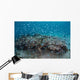 Damselfish Swim above Corals Wall Decal Design 1