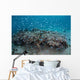 Damselfish Swim above Corals Wall Decal Design 1