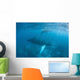 Humpback Whale and Her Wall Decal Design 3