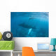 Humpback Whale and Her Wall Decal Design 3