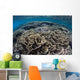 Foliose Corals Grow Komodo Wall Decal Design 2