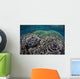 Foliose Corals Grow Komodo Wall Decal Design 1