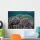 Foliose Corals Grow Komodo Wall Decal Design 1