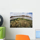 Fragile Corals Grow Shallow Wall Decal Design 14