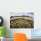 Fragile Corals Grow Shallow Wall Decal Design 14