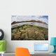 Fragile Corals Grow Shallow Wall Decal Design 14