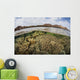 Fragile Corals Grow Shallow Wall Decal Design 14