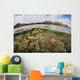 Fragile Corals Grow Shallow Wall Decal Design 14