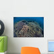 Fragile Corals Grow Shallow Wall Decal Design 13