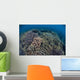 Fragile Corals Grow Shallow Wall Decal Design 13
