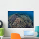 Fragile Corals Grow Shallow Wall Decal Design 13