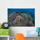 Fragile Corals Grow Shallow Wall Decal Design 13