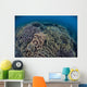 Fragile Corals Grow Shallow Wall Decal Design 13