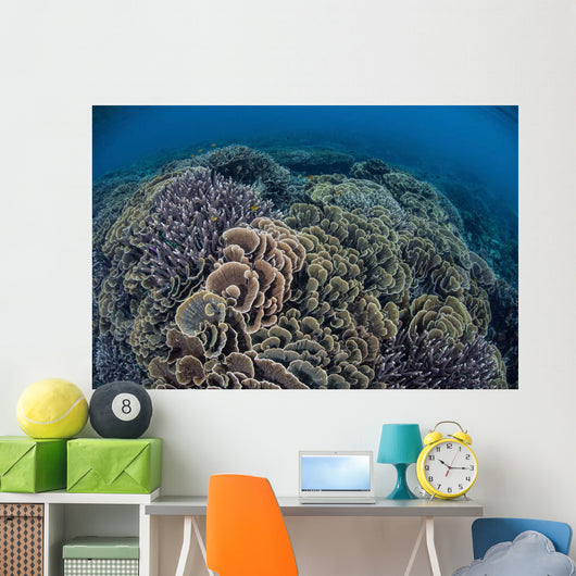 Fragile Corals Grow Shallow Wall Decal Design 13