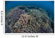 Fragile Corals Grow Shallow Wall Decal Design 13