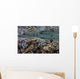 Fragile Corals Grow Shallow Wall Decal Design 12