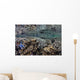 Fragile Corals Grow Shallow Wall Decal Design 12