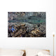 Fragile Corals Grow Shallow Wall Decal Design 12