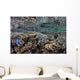 Fragile Corals Grow Shallow Wall Decal Design 12