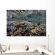 Fragile Corals Grow Shallow Wall Decal Design 12