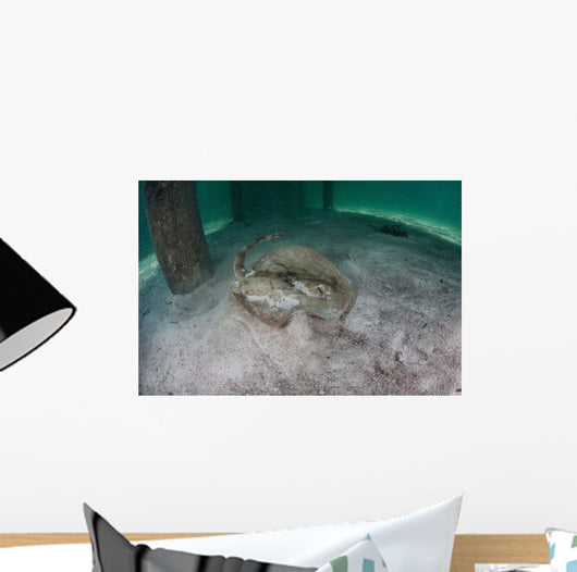 Yellow Stingray Swims beneath Wall Decal Design 3